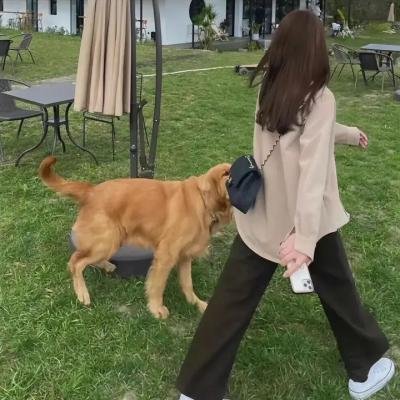 梨子树