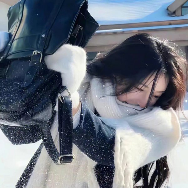 春情妃子